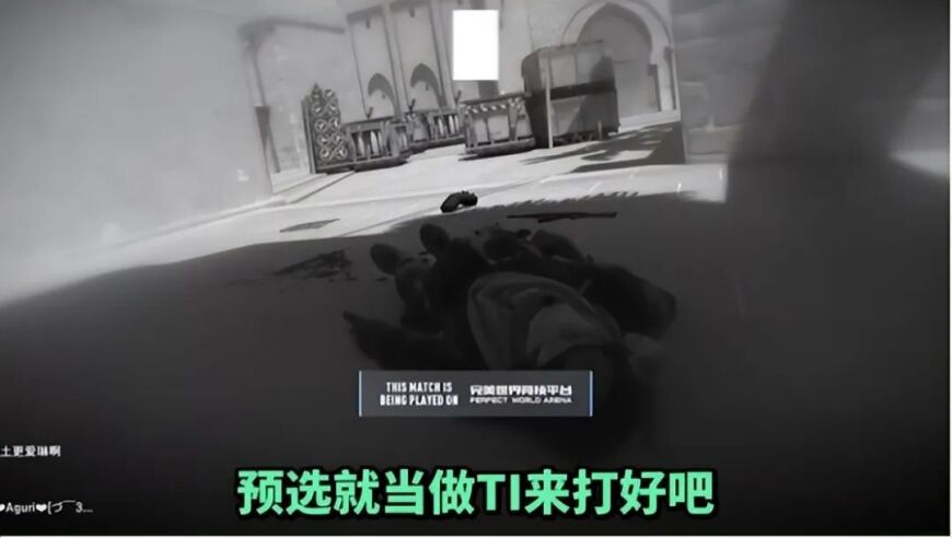 VG复活！阿绿重启天地人备战TI预选，1号位拒绝者，皮鞋三，FY打四