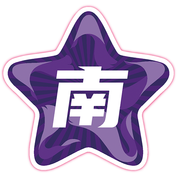 南区星锐队