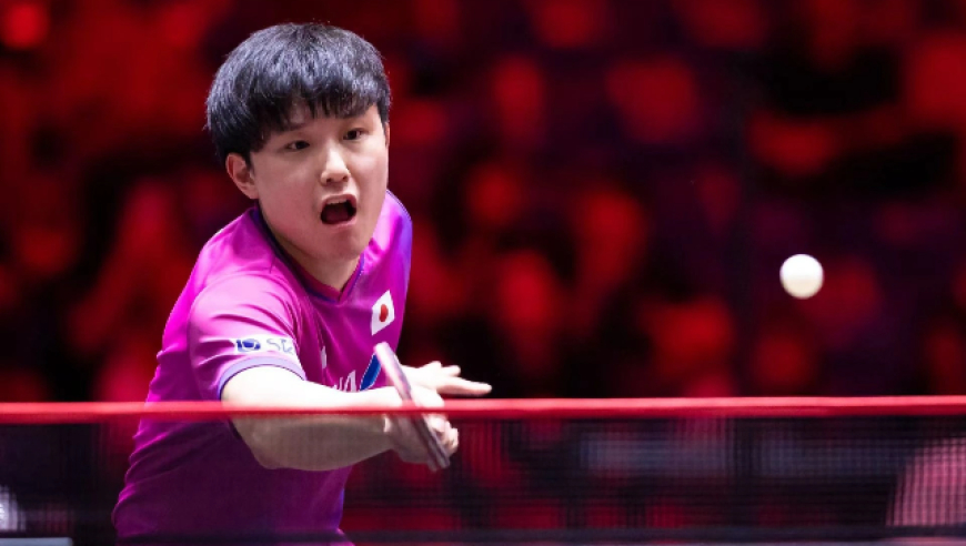 WTT新加坡大满贯：张本智和险被爆冷！苦战5局3-2逆转中国小将
