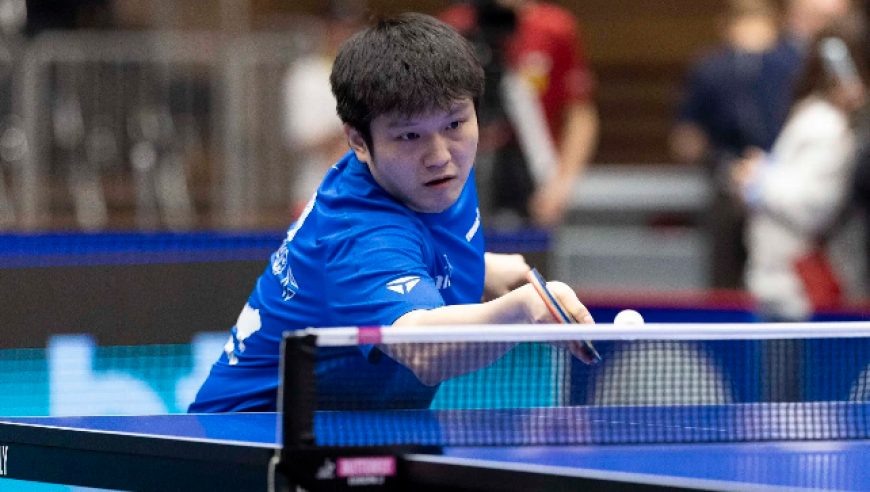 樊振东蛇年最后一战！德甲联赛赢1盘输1盘 单打逆转、双打惜败