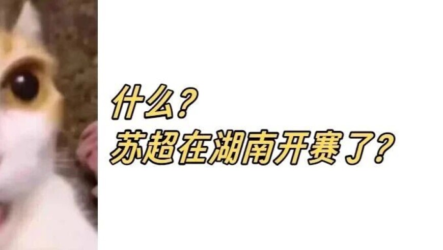 十三太保&ldquo;闹&rdquo;永州！2026年&ldquo;苏超&rdquo;首先在湖南打响