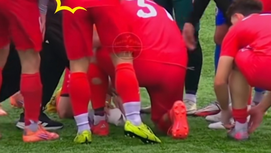 欧洲联赛有爱一幕：门将大脚球击落海鸥，做心脏复苏救活