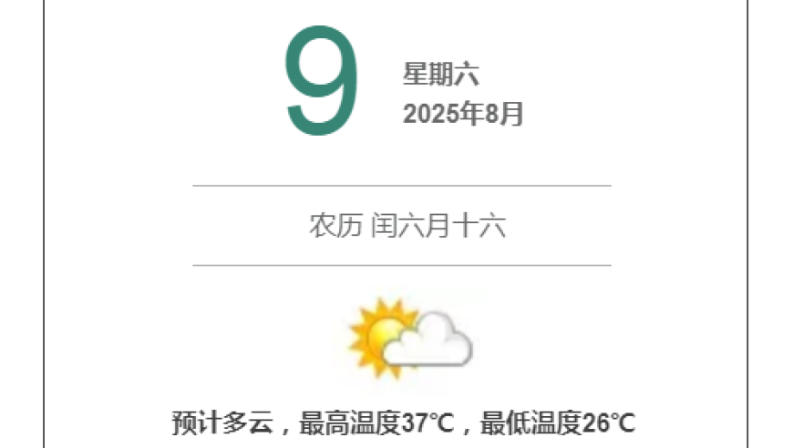 虚拟主播说新闻丨洪山一周新闻（视频版）