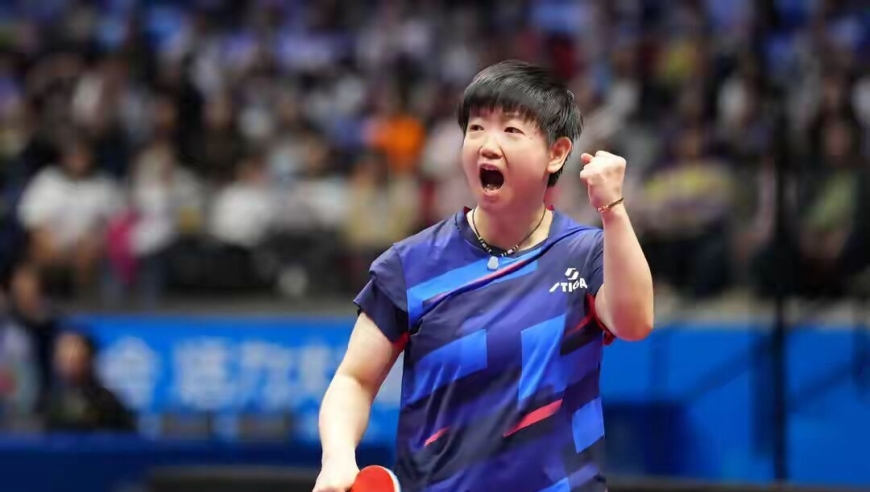 全运乒乓球：11月16日赛程公布！国乒四大主力争冠，莎莎曼昱决战