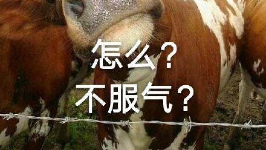 【不吐不快】中国赛季的主题：整抽象活儿！