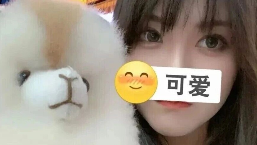 一条小团团强势回归！开播20分钟收礼超20w+！随后团团呼吁大家不要给自己送礼物，网友：五五开能复播不？