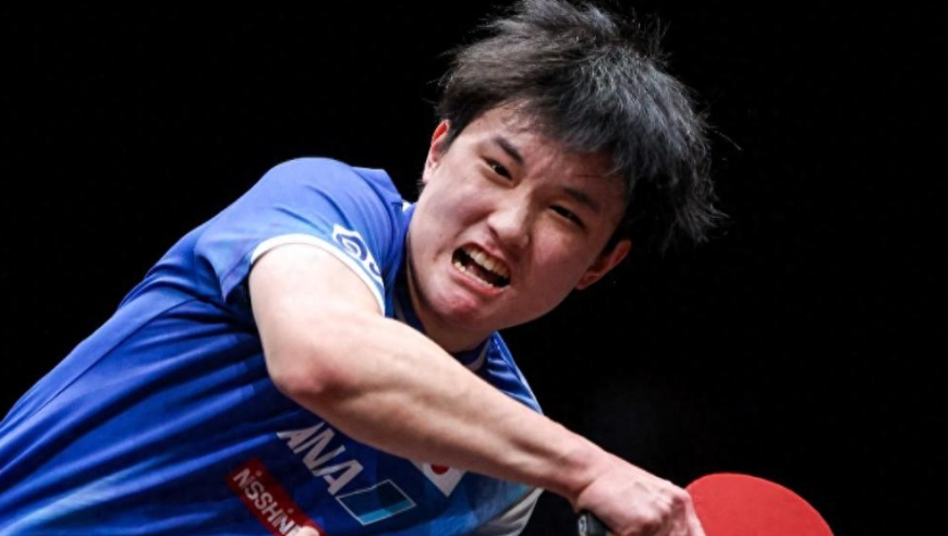 张本智和再次赢球致敬樊振东！终结5连败F勒布伦，激动挥拳跪地