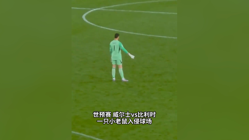 捕鼠失败！一只小老鼠入侵球场，库尔图瓦伸手去抓未得手遭主场球迷群嘲