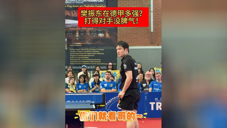 霸气十足！樊振东在德甲多强？近距离感受，疯狂扣球打得对手没脾气