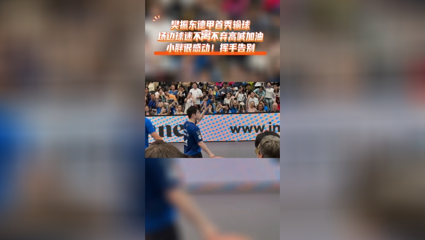 樊振东德甲首秀输球！球迷不离不弃高喊加油，小胖很感动一直挥手