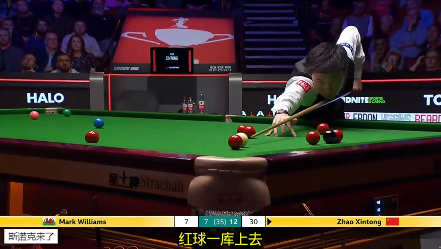 长台狙击手准度！赵心童连续狂野长台一箭穿心，马叔心态被击溃