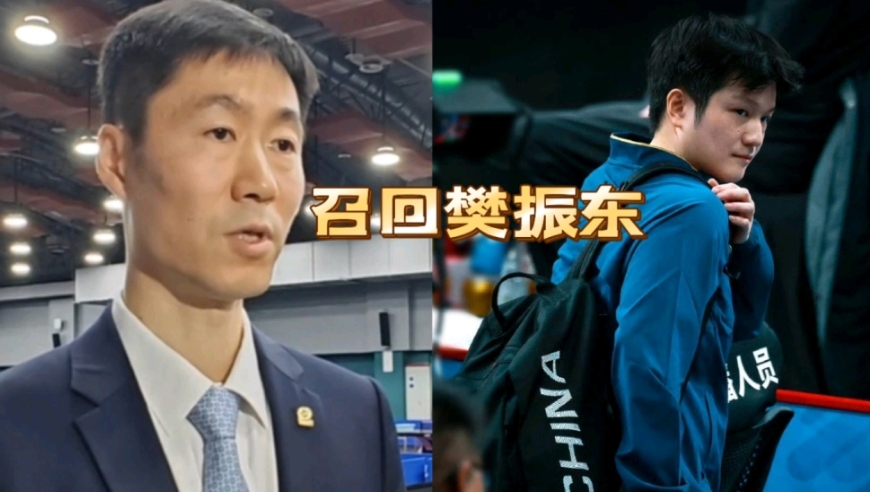 喜出望外！德媒爆料：王励勤将樊振东召回国家队，支持他加盟德甲