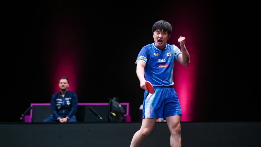 争议！张本智和被央媒点名后晋级四强 139名中国网友刷屏祝贺他