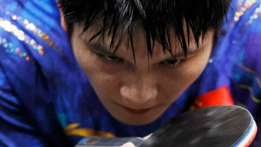 王励勤最新回应樊振东回归，答案令人大失所望，但也有一个积极信号