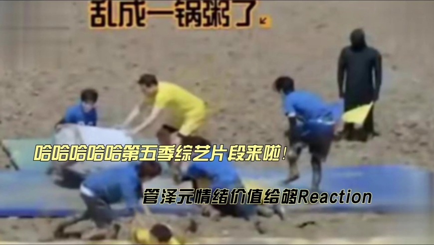 管泽元情绪价值给够reaction