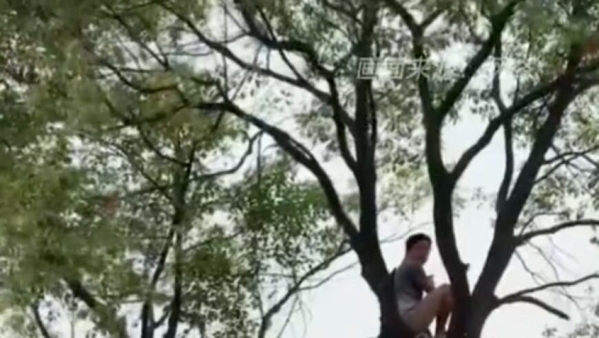 这也行？湘超永州惊现树上挂票，上树前须经体检