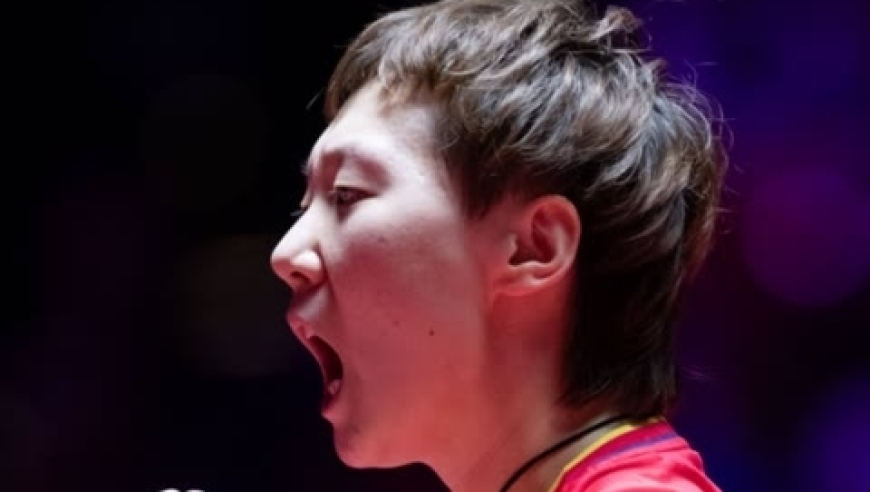 王曼昱不为人知的故事！