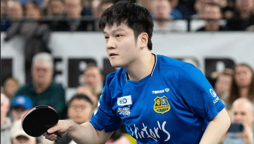 中国乒协主席王励勤回应樊振东回归国家队一事，前主席刘国梁回应国乒男队现状！