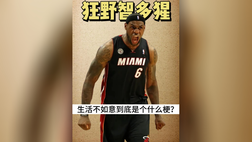 【每日一梗】生活不如意到底是个什么梗？