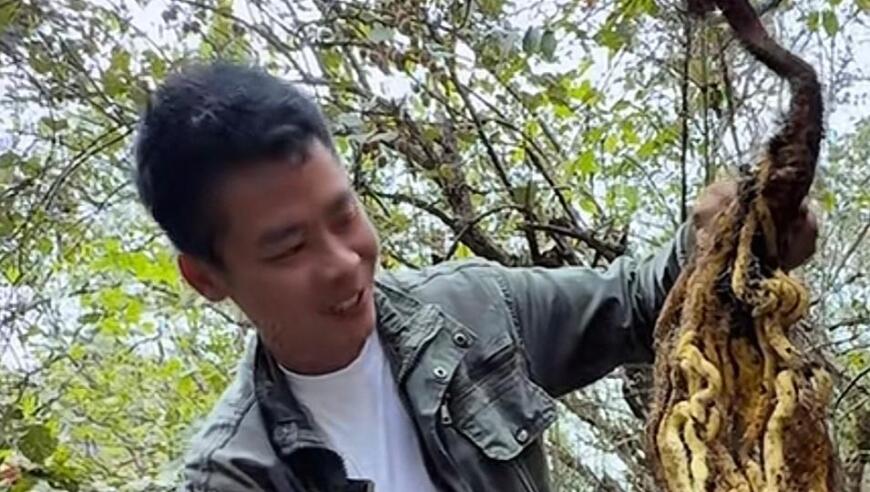 荒野归来，是继续还是重启？