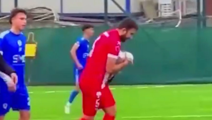 铁汉柔情！门将开球不慎将一只海鸥击落 队员心肺复苏将其救活