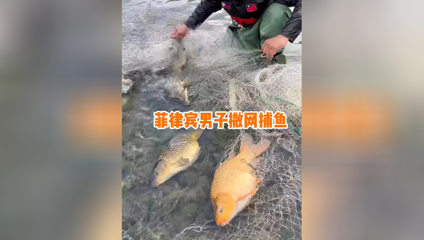 菲律宾河边男子撒网捕鱼手忙脚乱，同伴助力收获肥美鲤鱼