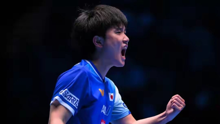 乒乓总决赛落幕！张本智和4-2兑现夺冠誓言，王曼昱许愿健康涨球