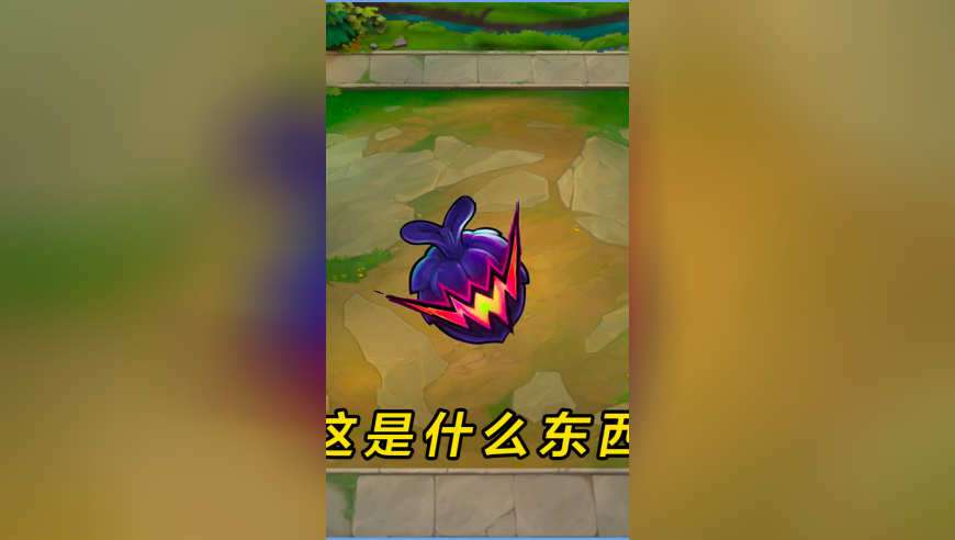 这是什么东西？
