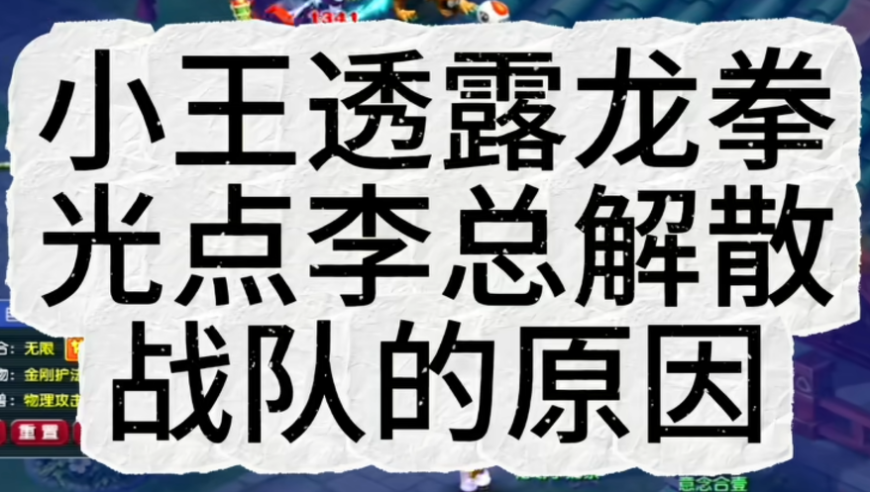 宝哥专区变异龙龟竟2.8亿，新队友李总曝光，光点离队背后原因
