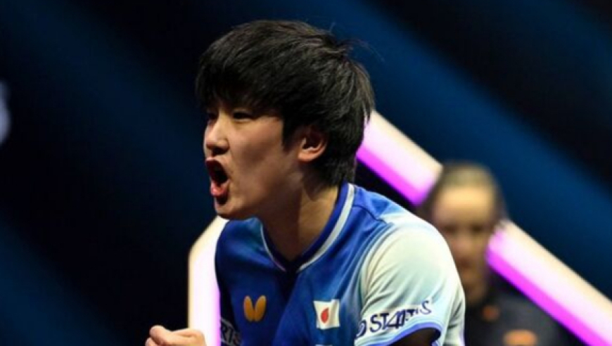 日本网友评日乒8-2胜中国香港 张本兄妹太可靠伊藤替补席耍小脾气