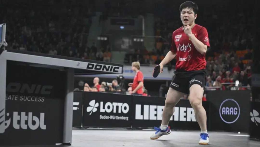 6小时4胜！樊振东夺冠引发连锁反应，打脸日本悍将！球迷炸锅了