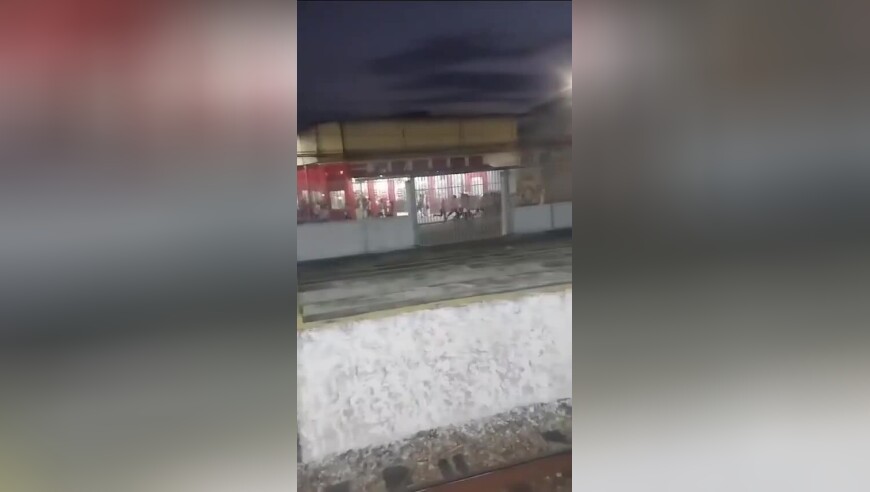 巴西杯前双方球迷发生冲突，一人头部中弹身亡