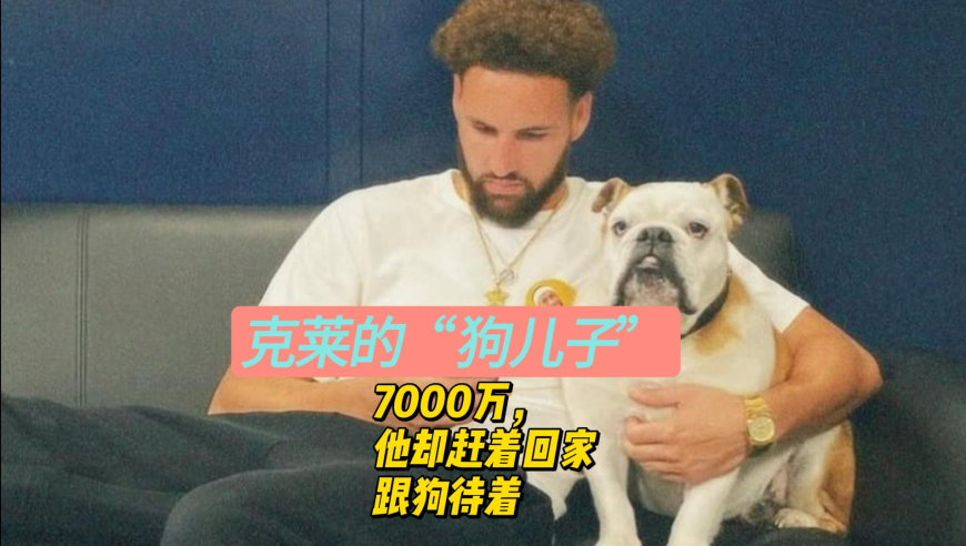 克莱的“狗儿子”——7000万，难阻他赶回家跟狗待着