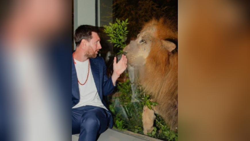 梅西造访亚洲首富豪宅！球王也开了眼界，和狮子互动，笑容不断