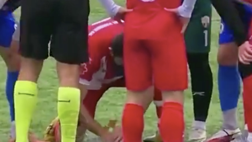 暖心！海鸥飞过球场被皮球击中晕倒跌落，球员做心肺复苏将它救活