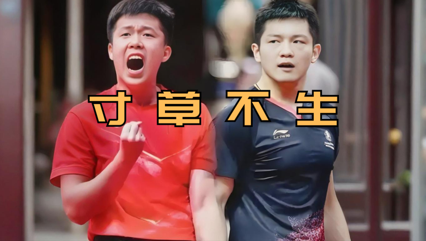 体坛记忆｜胖头出征寸草不生，大赛限定版东楚霸王零封所有对手