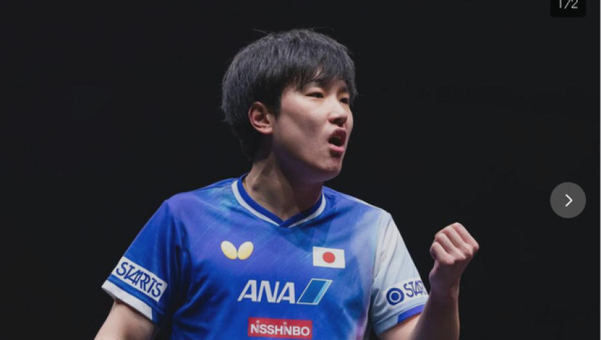 张本兄妹携手杀进2026多哈WTT冠军赛16强，下轮对手竟国籍都不变