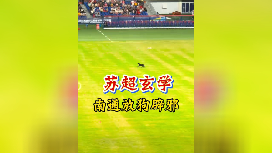 苏超玄学！听说你浪里马邪乎？我放黑狗驱邪！南通5-0大胜淮安