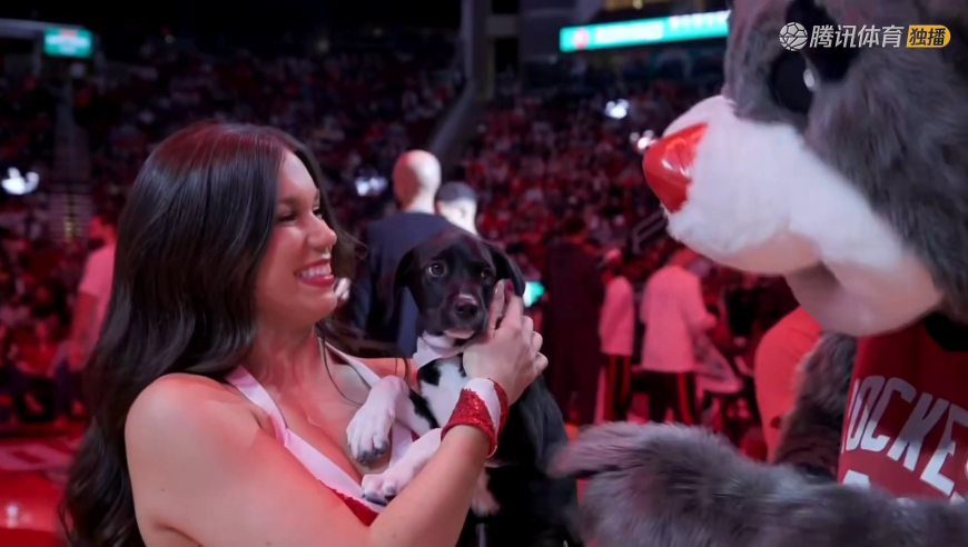 战战兢兢！NBA中场搞赛狗比赛 所有小狗都拒绝奔向终点