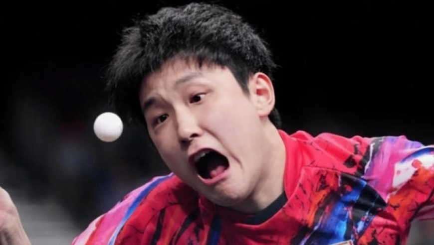 触碰红线！&ldquo;张本智和被点名&rdquo;冲上热搜，官媒摆明态度，必须被封杀！