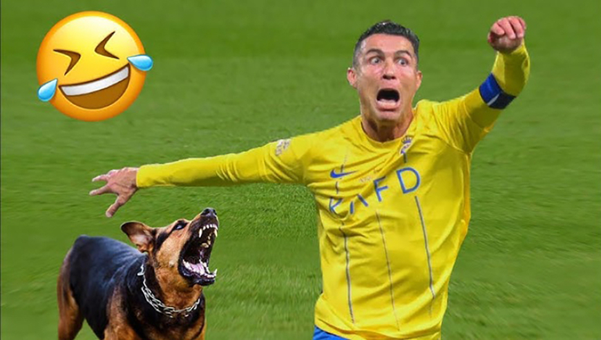 过于好笑了！盘点球场上的搞笑时刻 不去参加喜剧人可惜了