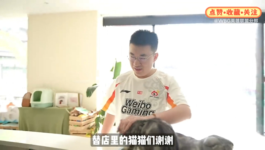 Xiaohu一日爱心店长体验：让领养代替购买