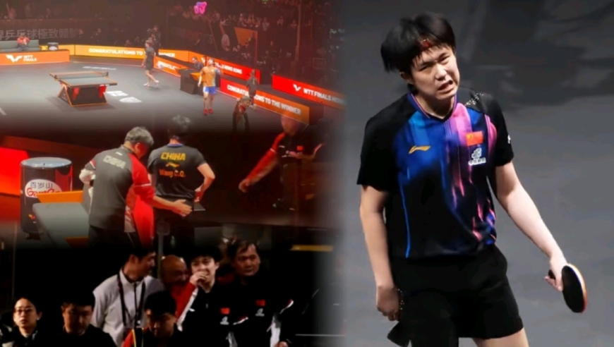 王楚钦逆袭细节回味：教练挥拳互动情绪价值拉满，日本少爷扔毛巾发泄