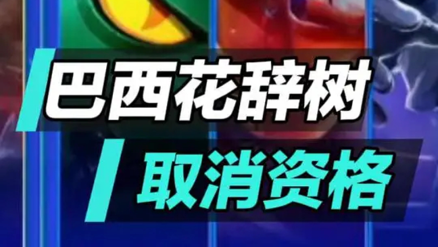王者巴西联赛出现花辞树，妲己发育路六分半被平推，官方取消资格