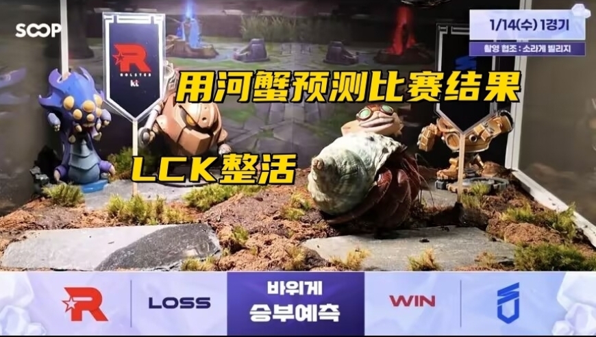 LOL十年赛事博主退网！LCK赛前整活：用河蟹预测比赛结果