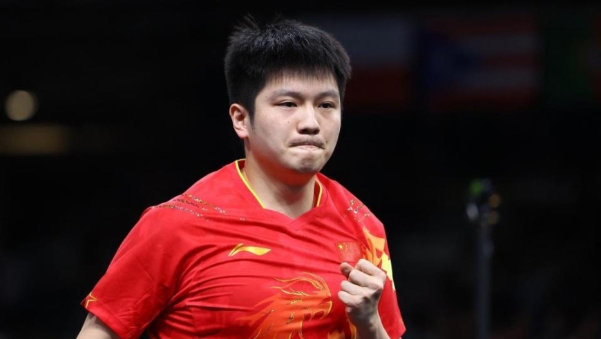 单打八强出炉！13日赛程：樊振东率先冲击四强；王曼昱压轴战强敌