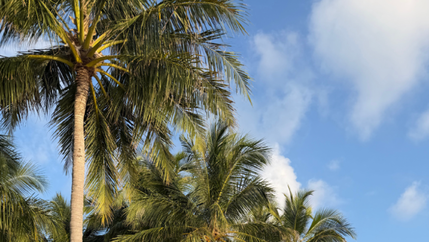 JKL女友晒照，和JKL一起在马尔代夫度假