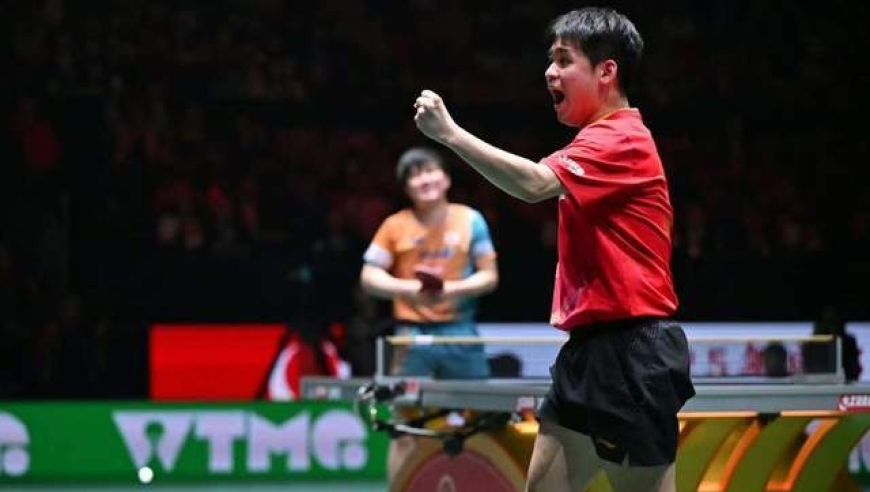 日本球迷炸窝了！炮轰日乒教练组排兵布阵无能：不该重用张本兄妹