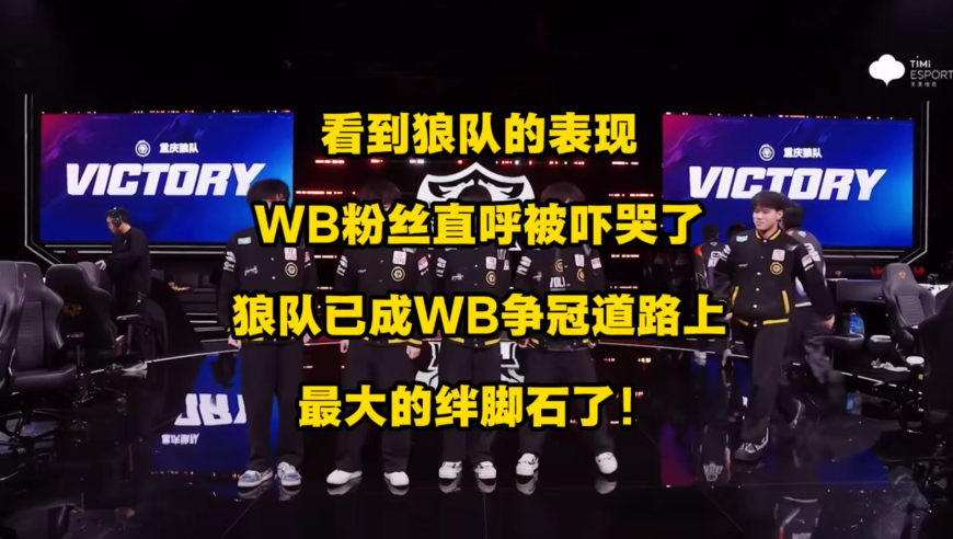 看到狼队的表现，WB粉丝直呼被吓哭了！为何呢？狼队已成WB连冠道路上的超级绊脚石！